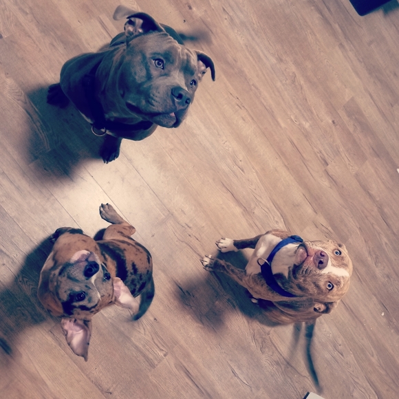 Meet your Posher, Jesisthabest - Picture 10 of 12